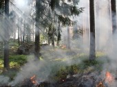 Ochrana lesov pred požiarmi v roku 2021