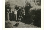 Mlátenie obilia - stavanie stohov zo slamy, 1950