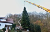 Vianočný strom z Horných Orešian